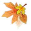 Autumn leaves