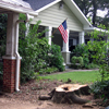 Full stump grinding services