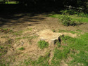 Stump