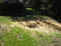 Stump Gone